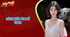 Cách nuôi dàn đề bất bài quanh năm