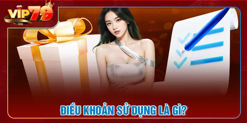 Tổng quan về điều khoản sử dụng VIP79